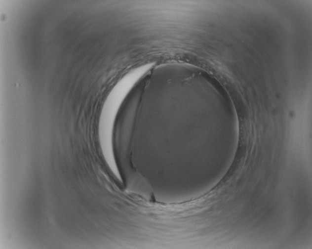 X0000064730039200602171653