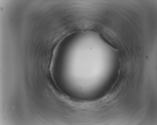 X0000064730040200602171653