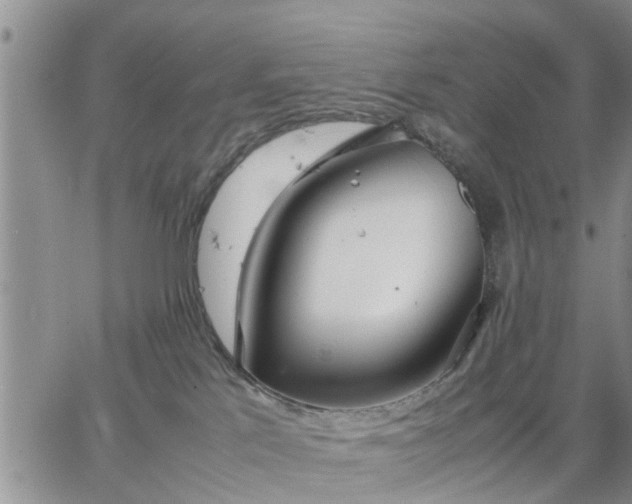 X0000064730041200602171653