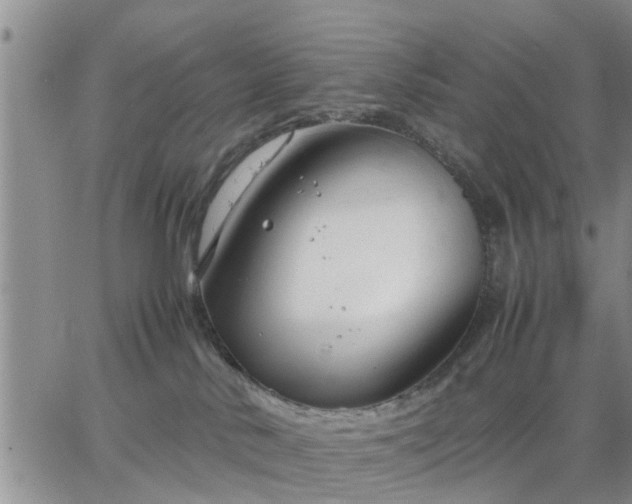 X0000064730042200602171653