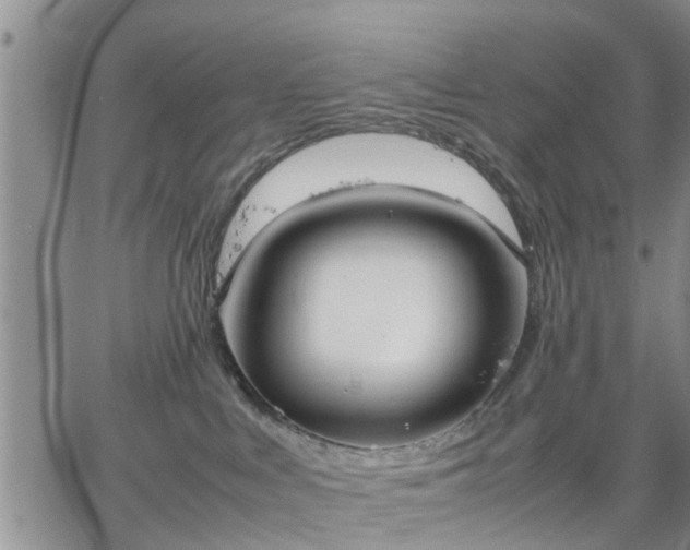 X0000064730043200602171653