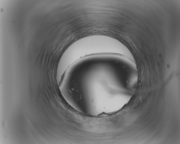 X0000064730044200602171653