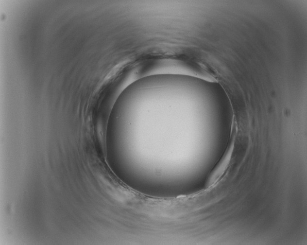 X0000064730045200602171653