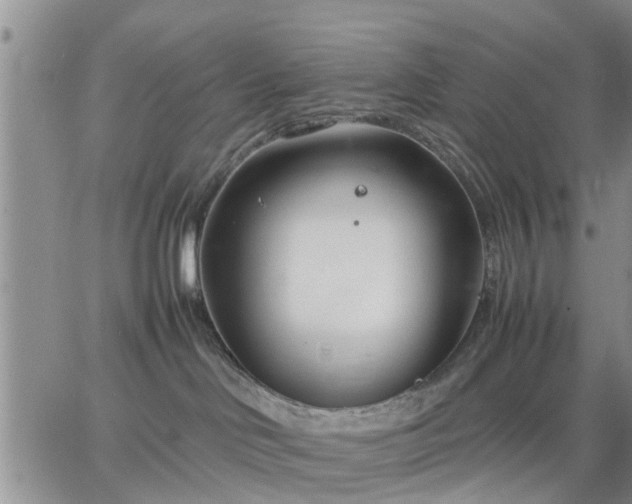 X0000064730046200602171653