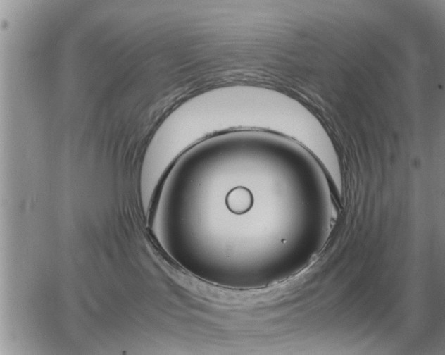 X0000064730047200602171653