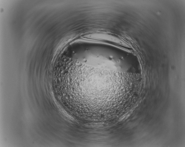 X0000064730049200602171652