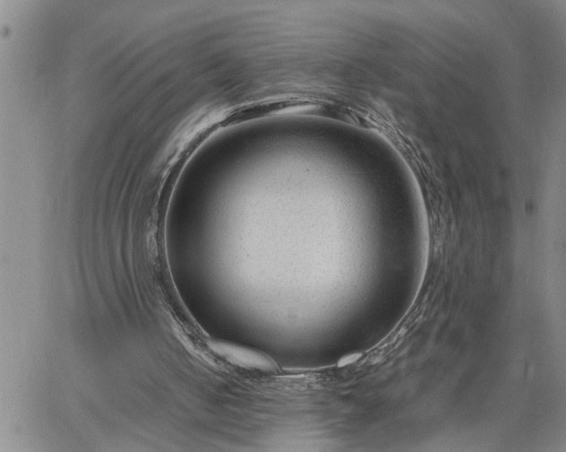 X0000064730050200602171652