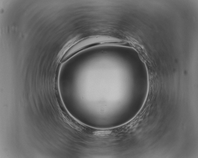 X0000064730051200602171652