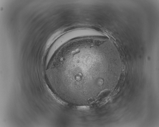 X0000064730053200602171652