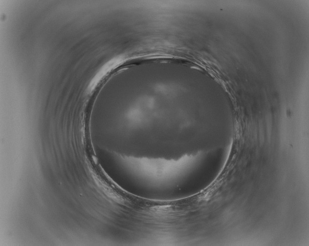 X0000064730054200602171652