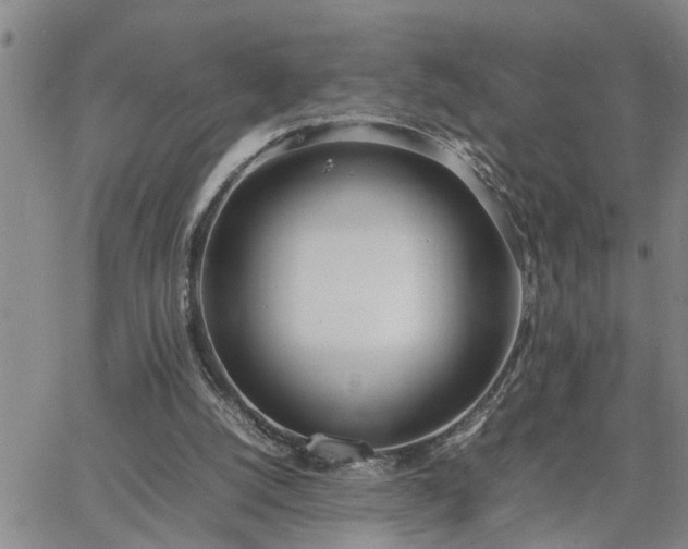 X0000064730056200602171652