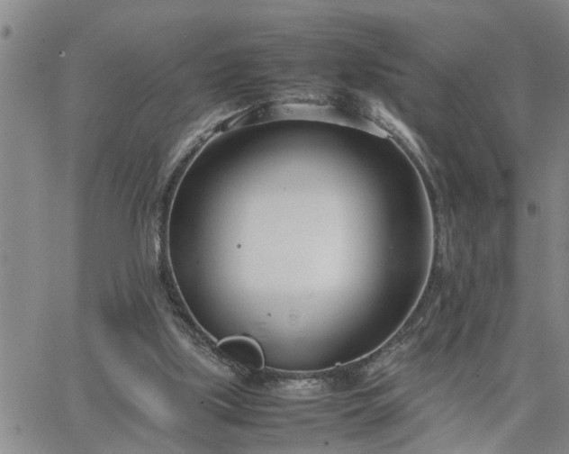 X0000064730059200602171652