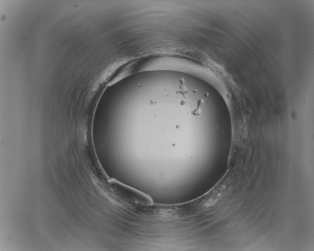 X0000064730060200602171652