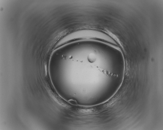 X0000064730061200602171652