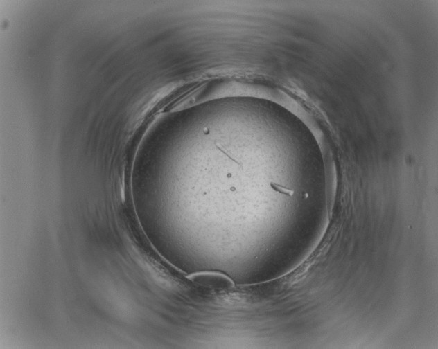 X0000064730062200602171652