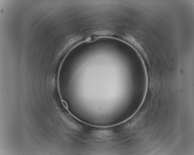 X0000064730063200602171652