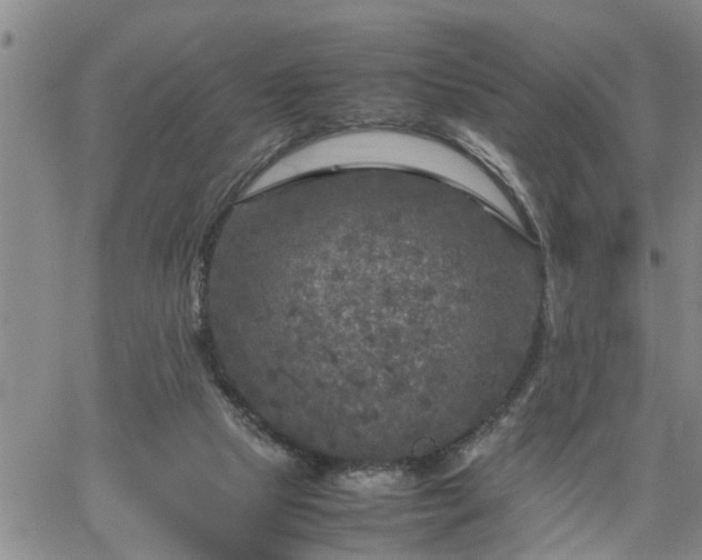 X0000064730065200602171652