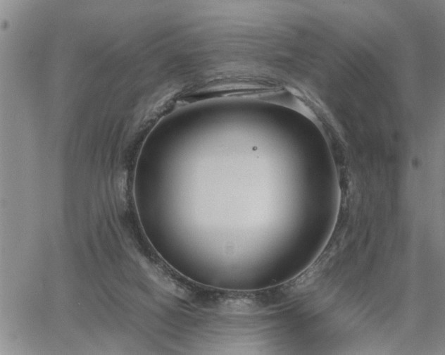 X0000064730066200602171652