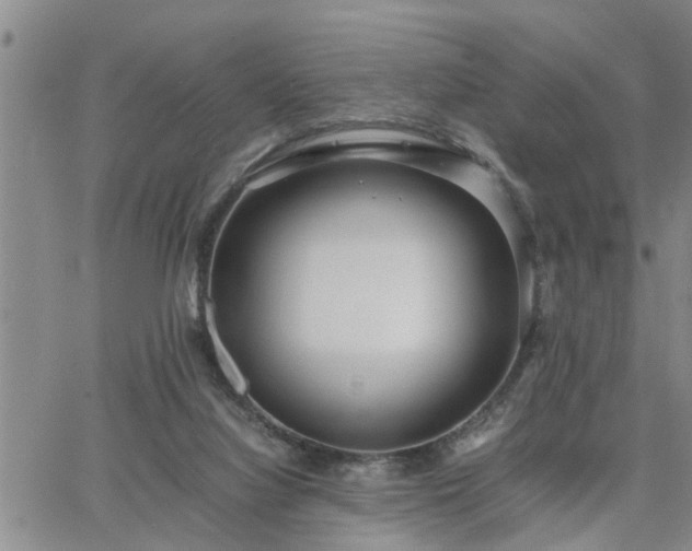 X0000064730068200602171652