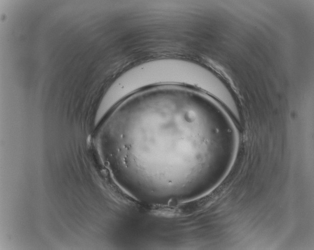 X0000064730069200602171652