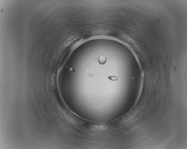 X0000064730071200602171652