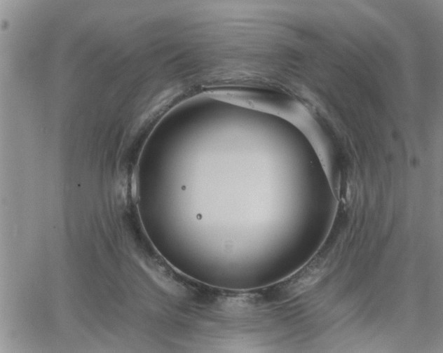 X0000064730072200602171652