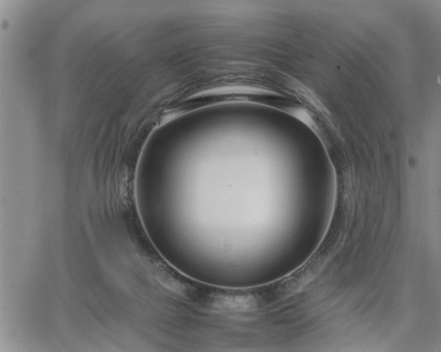 X0000064730073200602171652