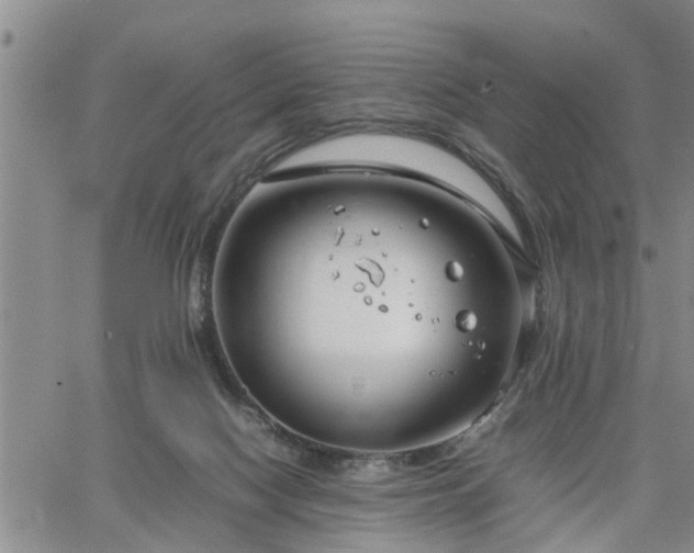 X0000064730074200602171652