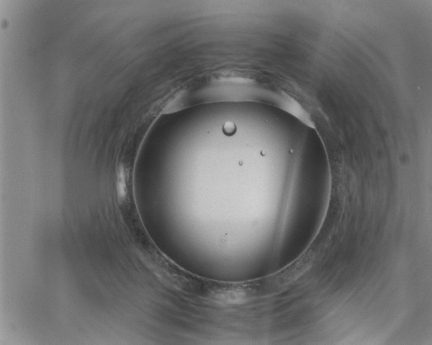 X0000064730075200602171652