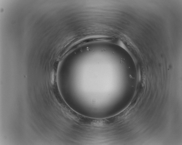 X0000064730076200602171652