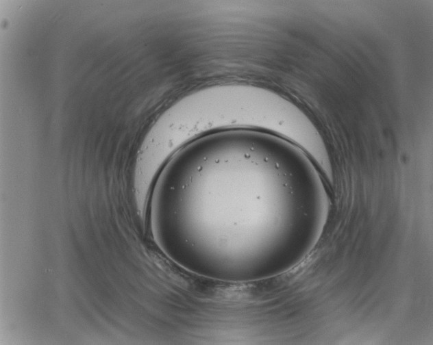 X0000064730078200602171652