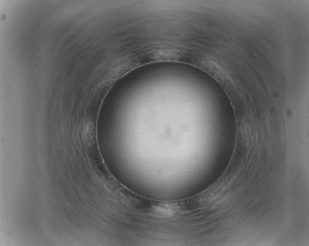 X0000064730079200602171652