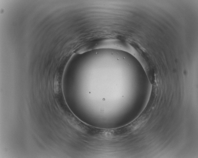 X0000064730080200602171652