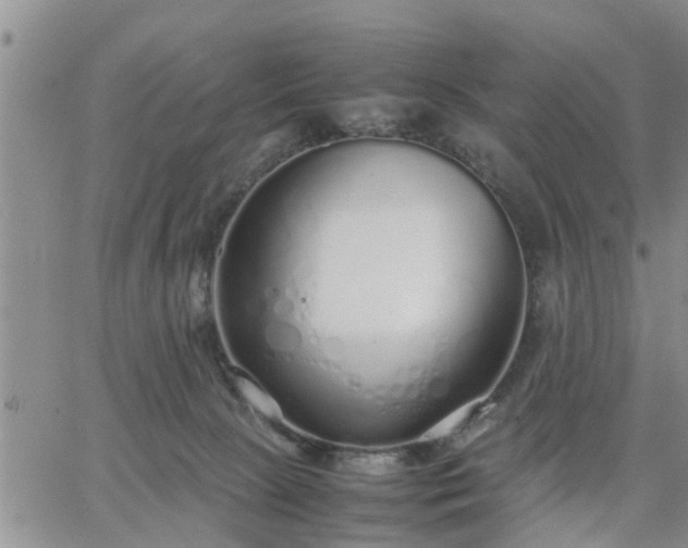 X0000064730081200602171652