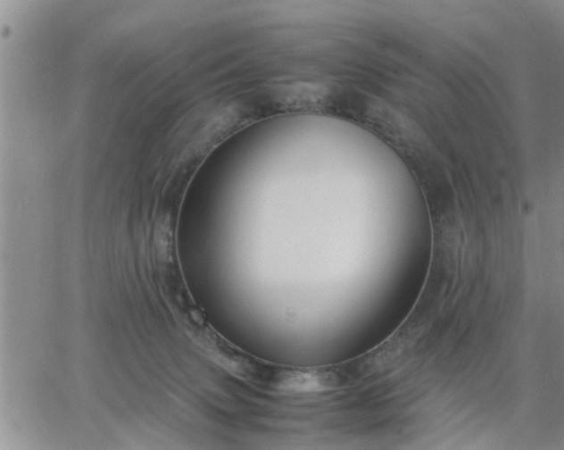 X0000064730083200602171652