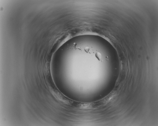 X0000064730088200602171652