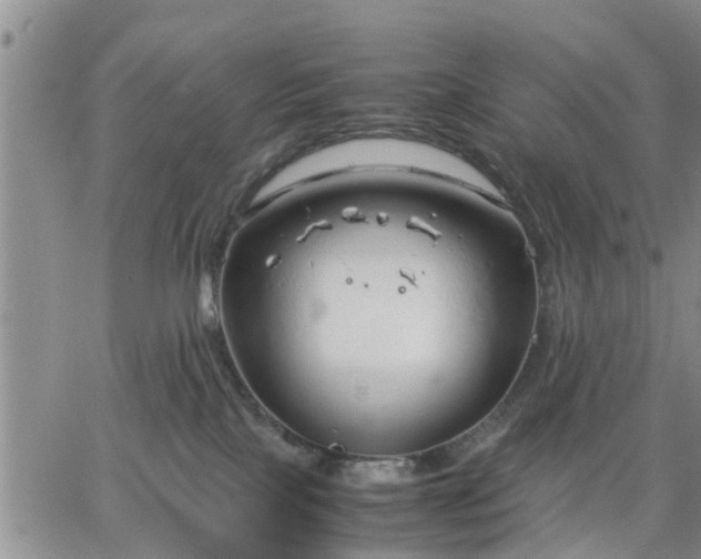 X0000064730089200602171652