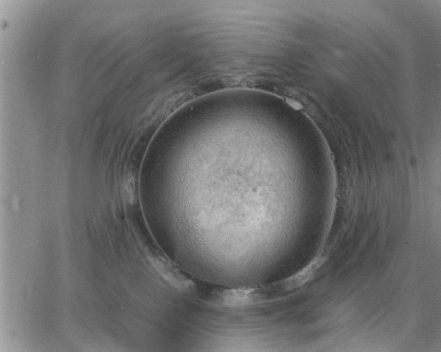 X0000064730090200602171652