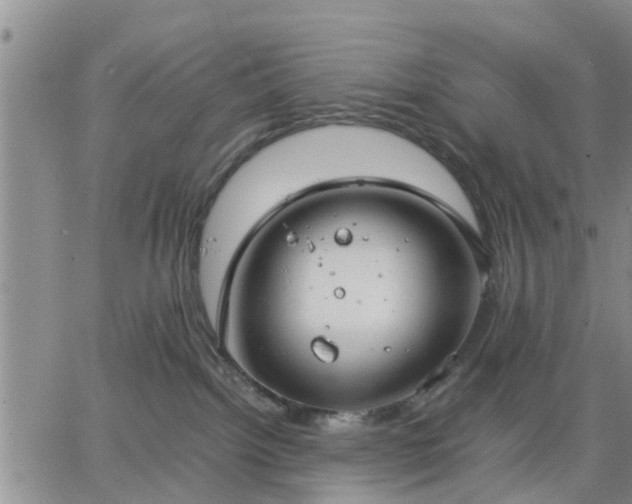 X0000064730092200602171652