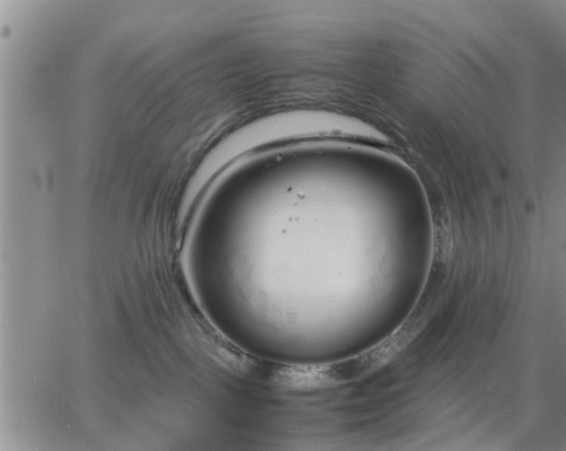 X0000064730093200602171653