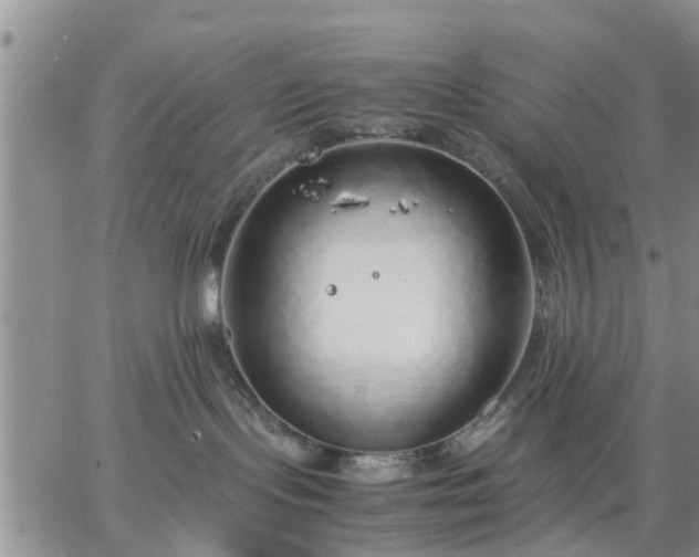 X0000064730095200602171653