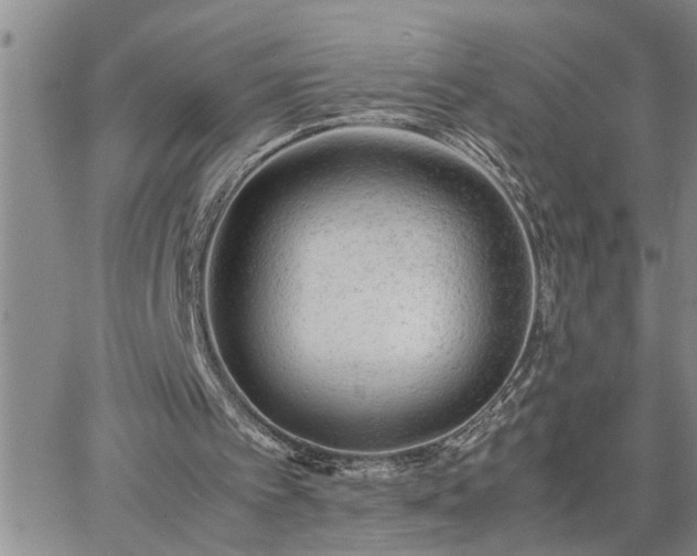 X0000064730097200602171652