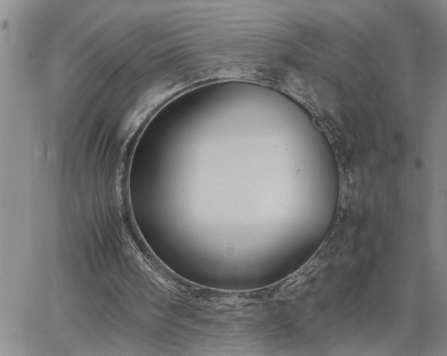 X0000064730098200602171652