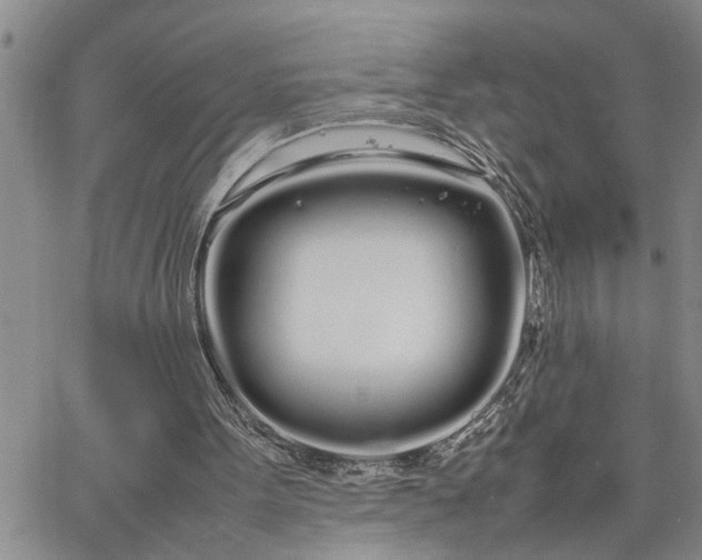 X0000064730099200602171652