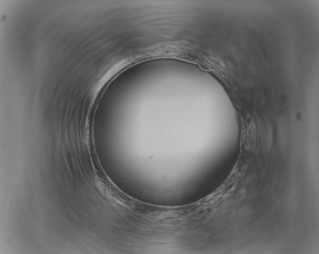 X0000064730100200602171652