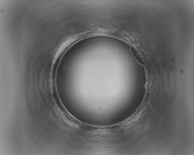 X0000064730102200602171652