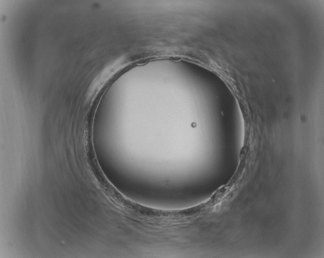 X0000064730103200602171652