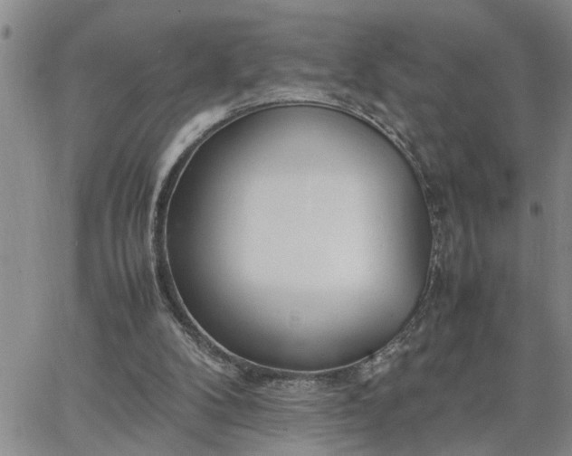 X0000064730104200602171652