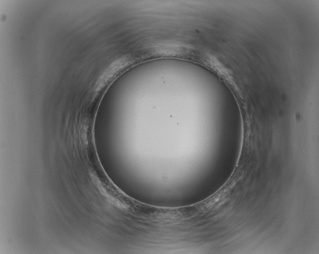 X0000064730106200602171652