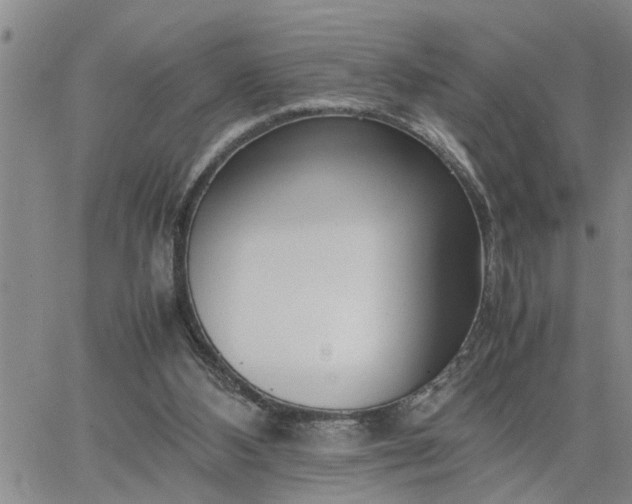 X0000064730108200602171652